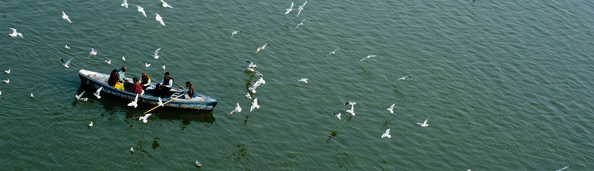 Picture for the header of the case studies page